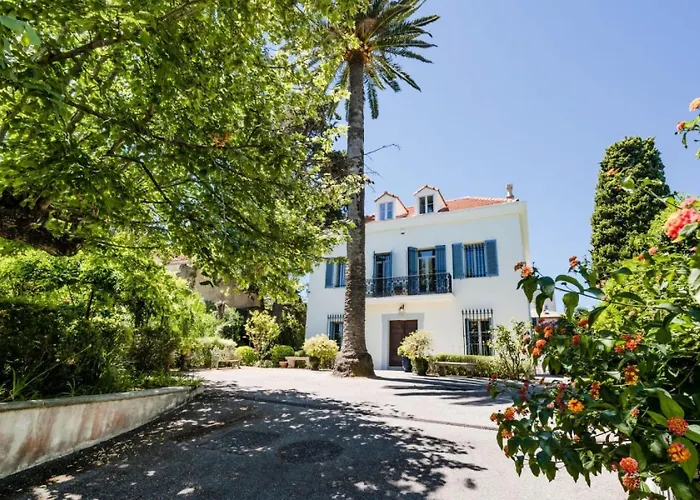 Rare ! 7p Cap D'antibes, A Pied Des Plages - Rare ! 7p Cap D'antibes, A Pied Des Plages Mae-1953 Villa Antibes